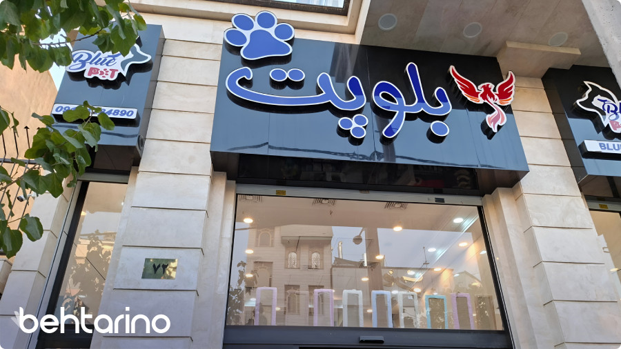 پتشاپ بلوپت